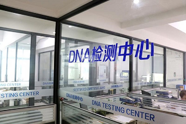 廊坊DNA鉴定机构真的可靠吗？（揭示DNA鉴定机构的可靠性） 